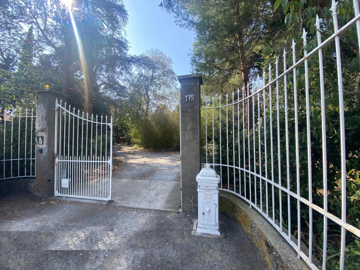 Chez Papy Charles Villa Carcassonne Dış mekan fotoğraf